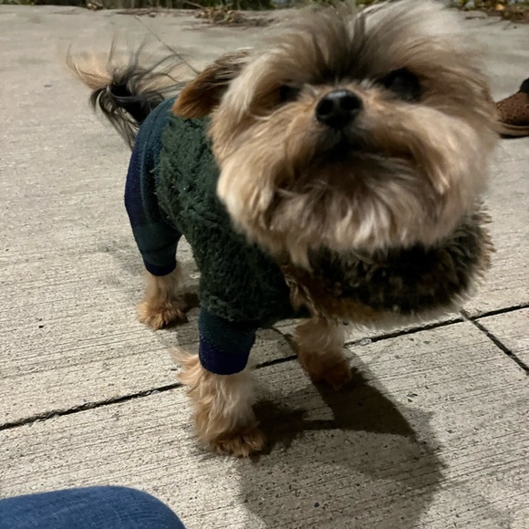 Meet your Posher, Char - Picture 5 of 6